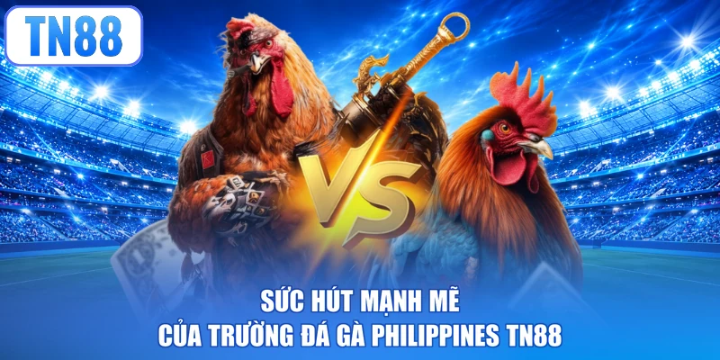 Sức hút mạnh mẽ của trường đá gà Philippines TN88